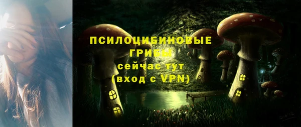 мескалин Карпинск
