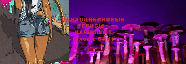 меф Каменск-Шахтинский
