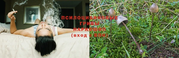 мескалин Карпинск