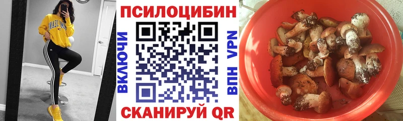 Галлюциногенные грибы Cubensis  Артём 